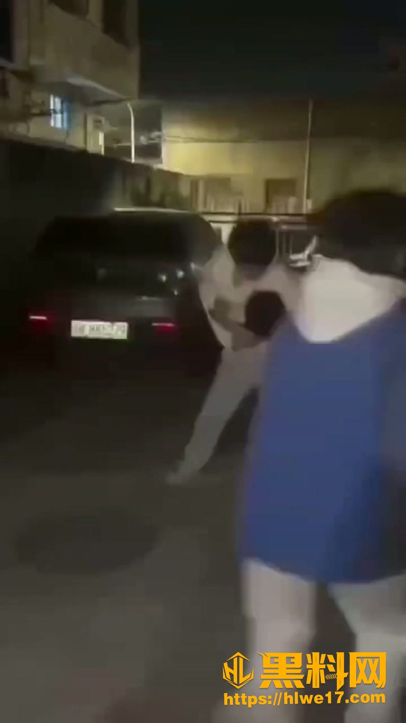 07打架2 4wm