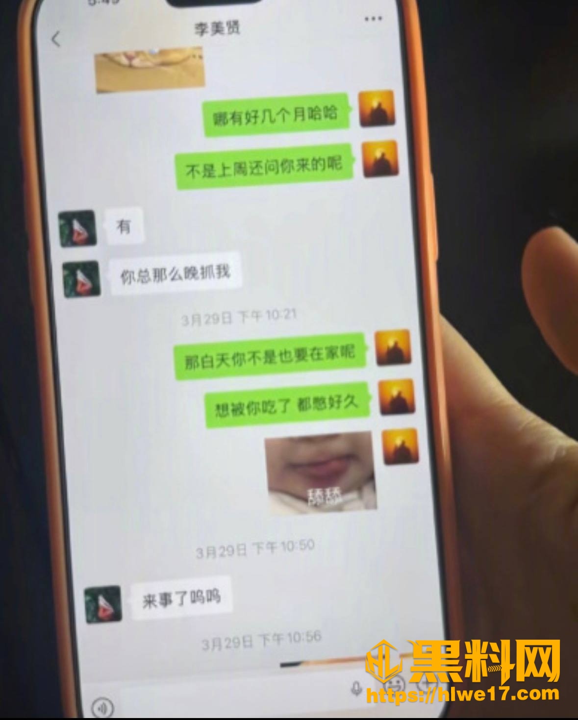 北极兔