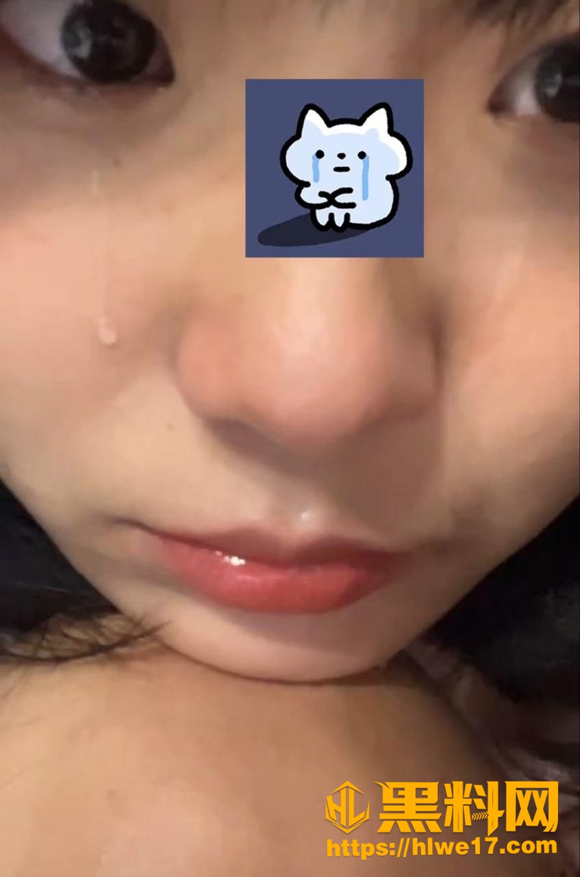 王晨最新资源