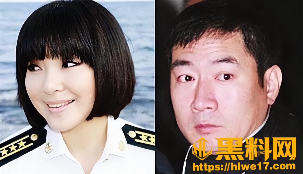 内娱歌星陈红5