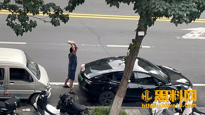 02男子持砖砸毁多车被控制1 2wm
