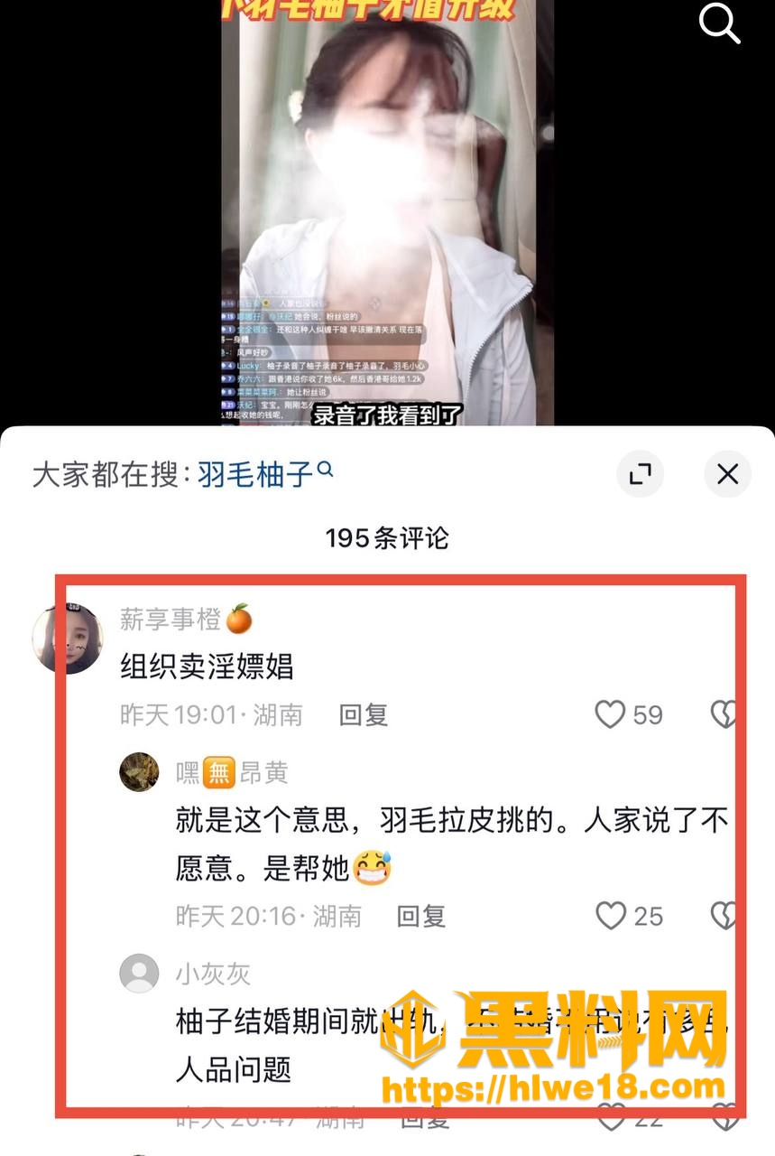柚子碎碎念 7
