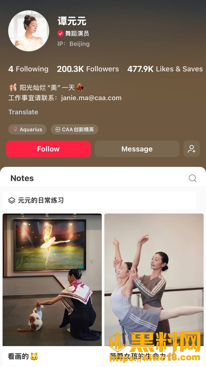 王微出轨谭元元事件1