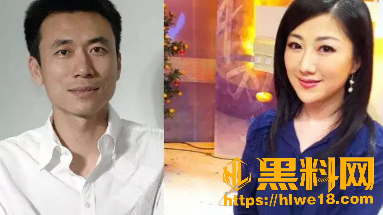 王微出轨谭元元事件2