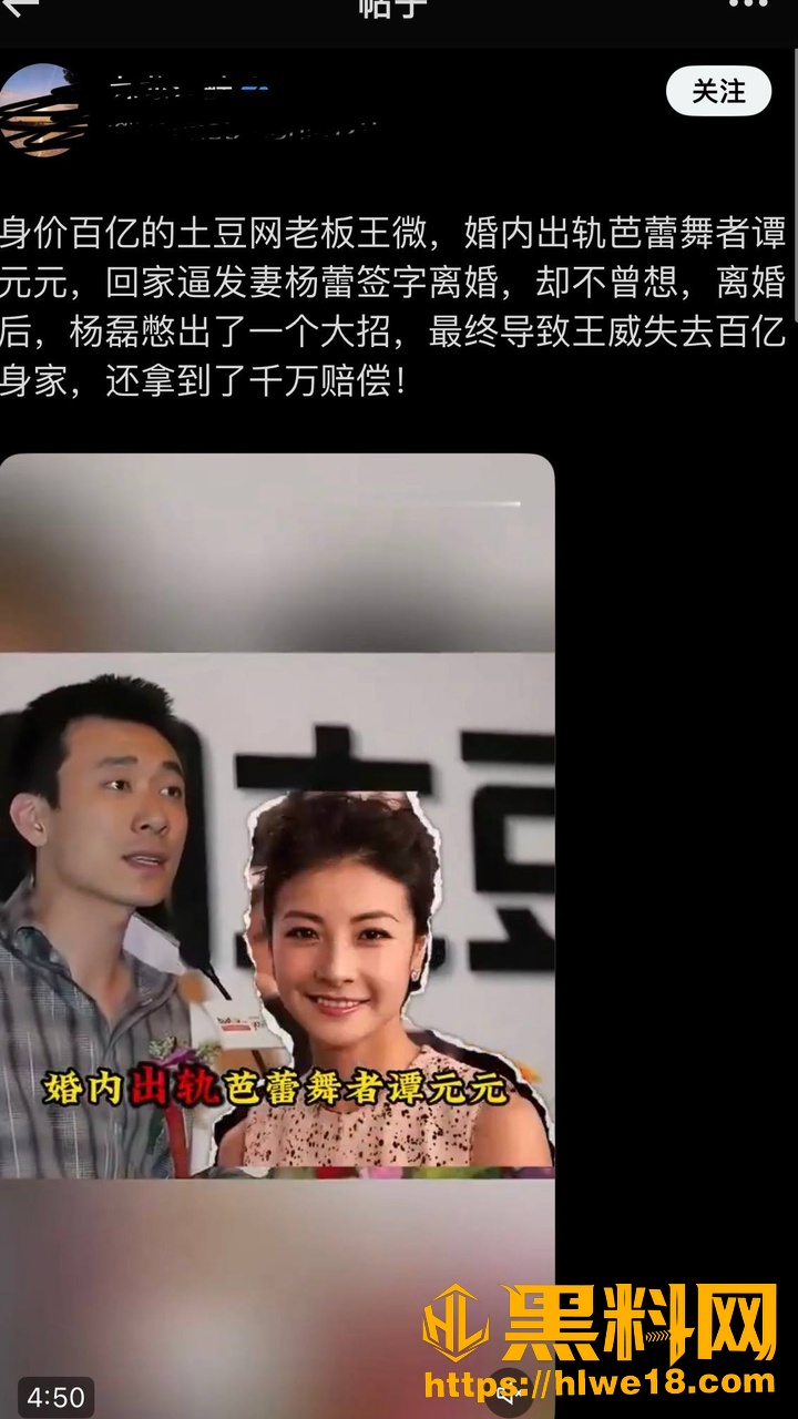 王微婚内出轨事件17