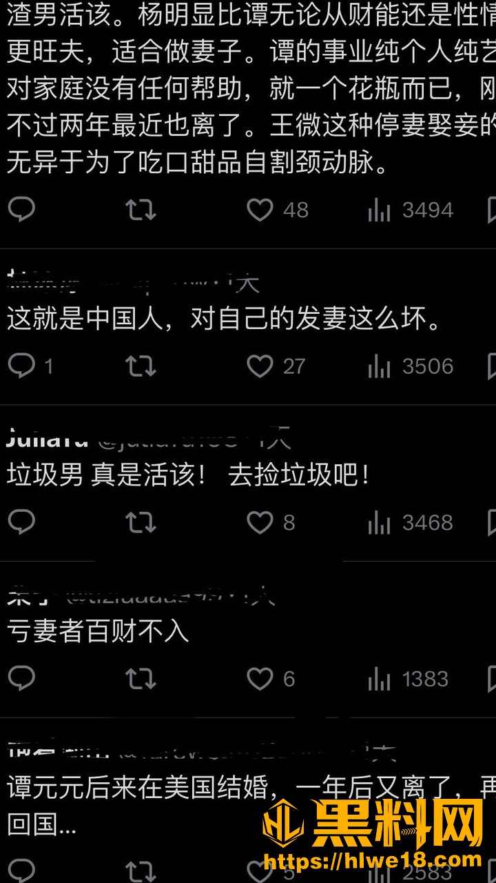 王微婚内出轨事件18