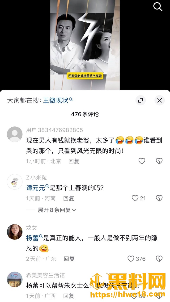 王微婚内出轨事件20
