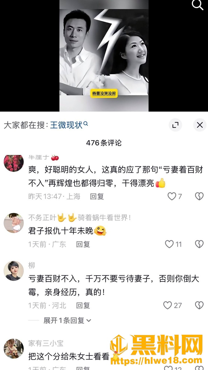 王微婚内出轨事件21