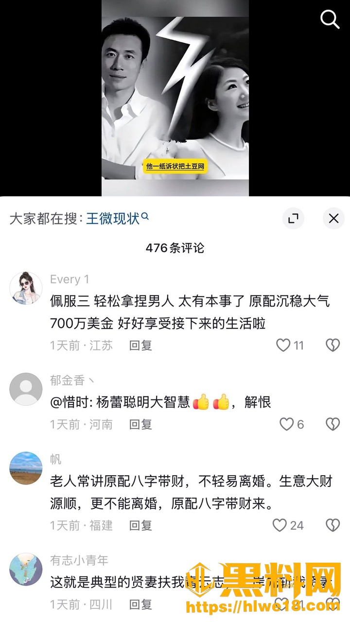 王微婚内出轨事件22