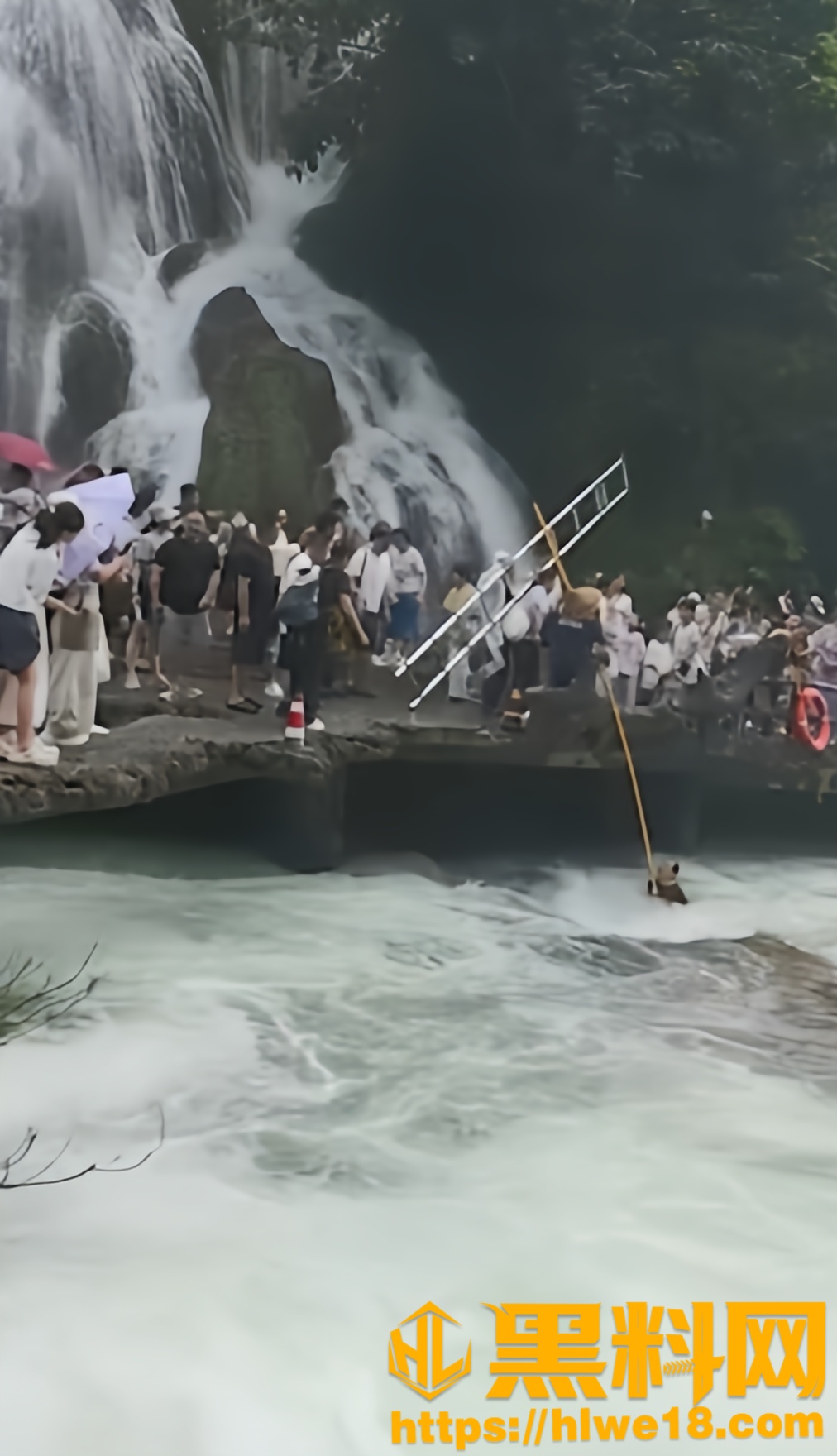 老人落水4