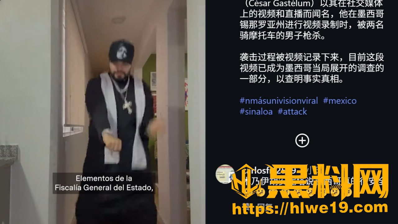 塞萨尔加斯特卢姆被枪杀事件6