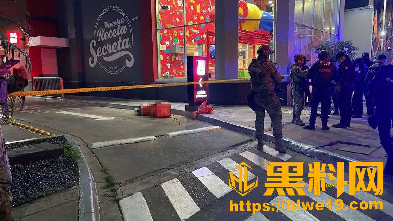 塞萨尔加斯特卢姆被枪杀视频4